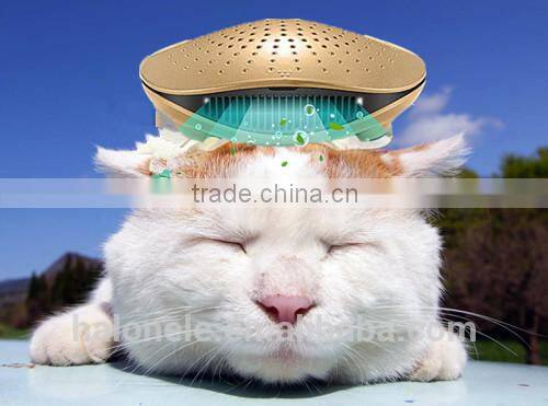 Mini Plastic Car Electric Air Purifier With Ionizer For All Branded Car