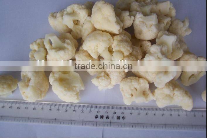 Frozen Broccoli Exporter