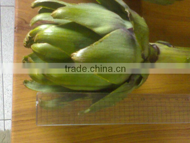 Frozen Artichokes ( French seeds & planted in Egypt )
