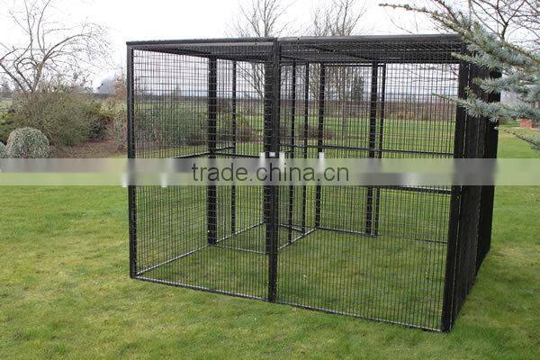 Walk in parrot enclousure cage yard extending from conservatory cat aviary welded run cage