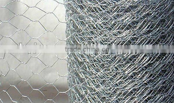 Hot-dip Galvanized Tree Guard Hexagonal Wire Mesh