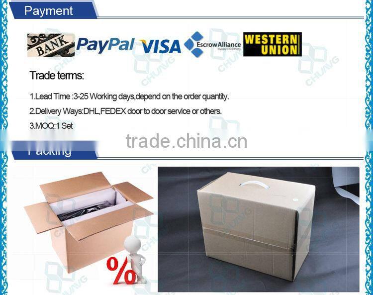 Global sales lead 20g ozone water disinfecting equipment