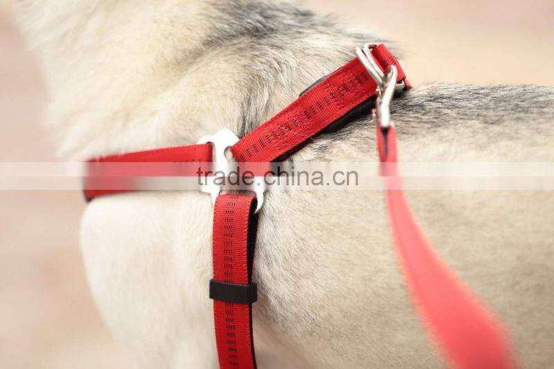 Wholesale pet dog leash and dog harness vest