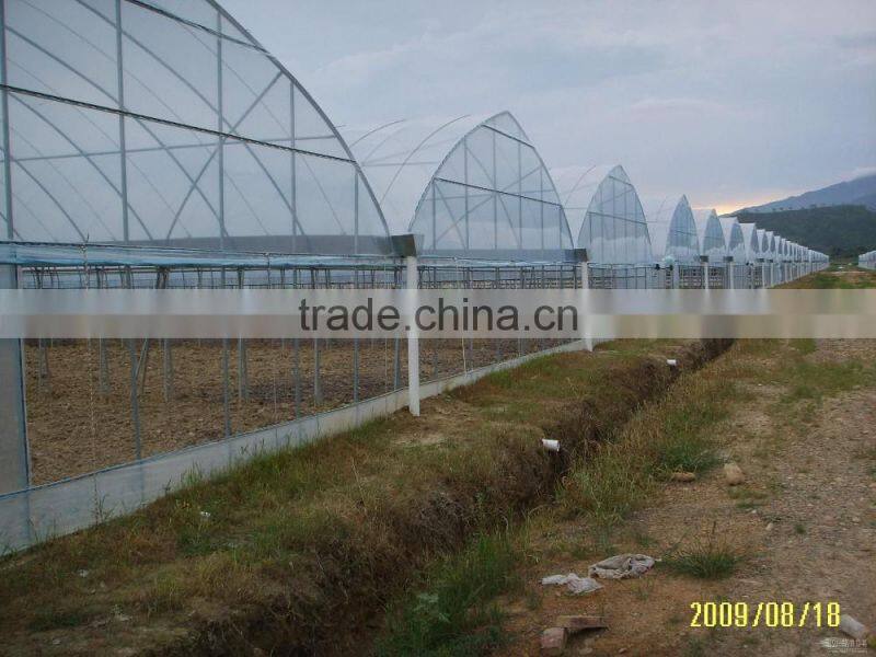 200 Micron Plastic Film Greenhouse For Vegetables