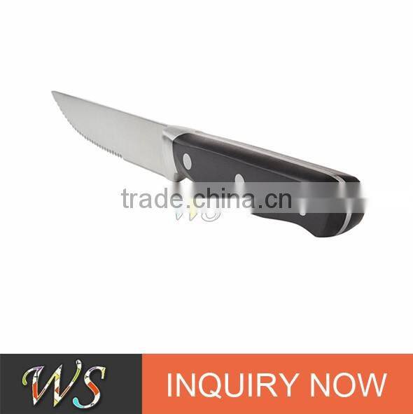 Plastic Handle Stainless Steel Steak Knife