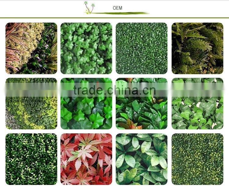 Indoor Various Artificial Garden Wall Covering Cheap Used Office Wall Partitions Artificial Plant