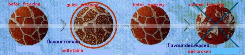 Durable Restaurant Supplies liquid instantaneous freezer at high cost performance