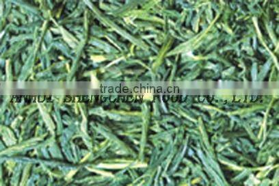 Sencha-Steamed Green Tea-Fresh