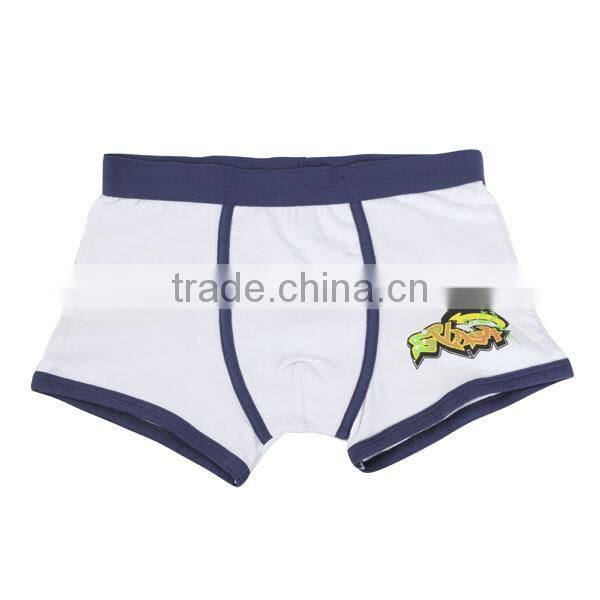 Colorful Boys Boxer Boys Fashion Underwear Teen Boy
