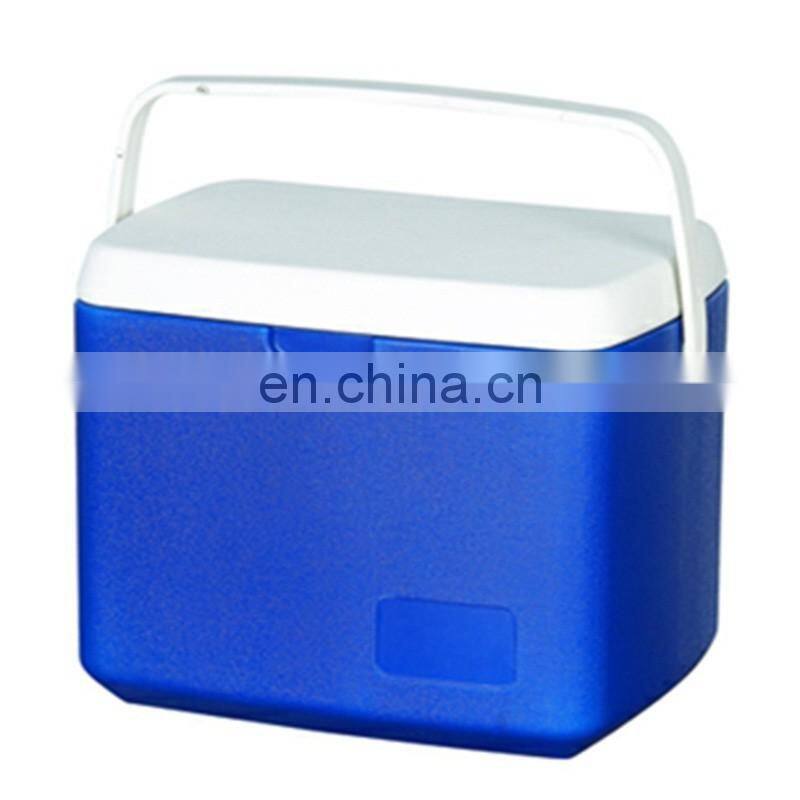 10L Car Cooler/Warmer Fridge Plastic Box for Picnic