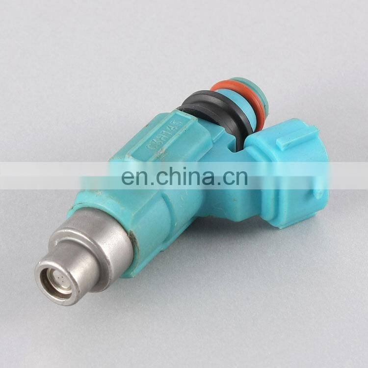 Fuel Injector Nozzle Injection.jpg