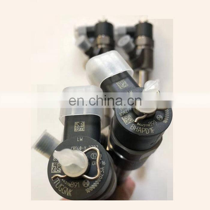 High Pressure Common Rail Diesel Fuel Injector 1000000623A 0445110891