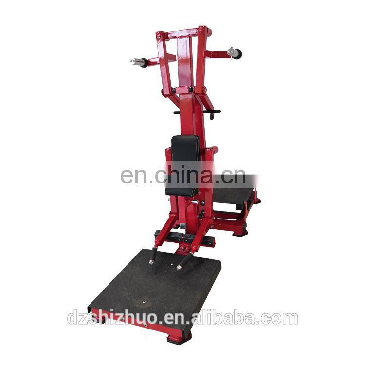 Dezhou Shizhuo 2019 new arrival high quality Lateral Raise machine commercial gym fitness equipment RHS53
