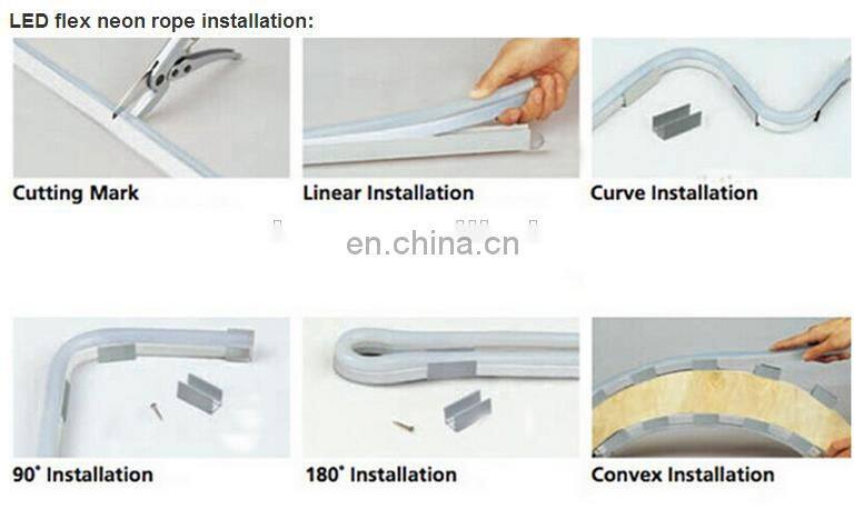 Shenzhen IP68 double sided blue 2835 24v led flexible neon strip light