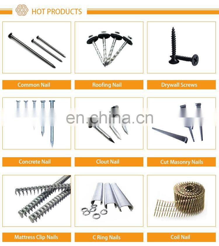 Iron Common Wire Nails Steel Building Nails Common Iron 4 Inches