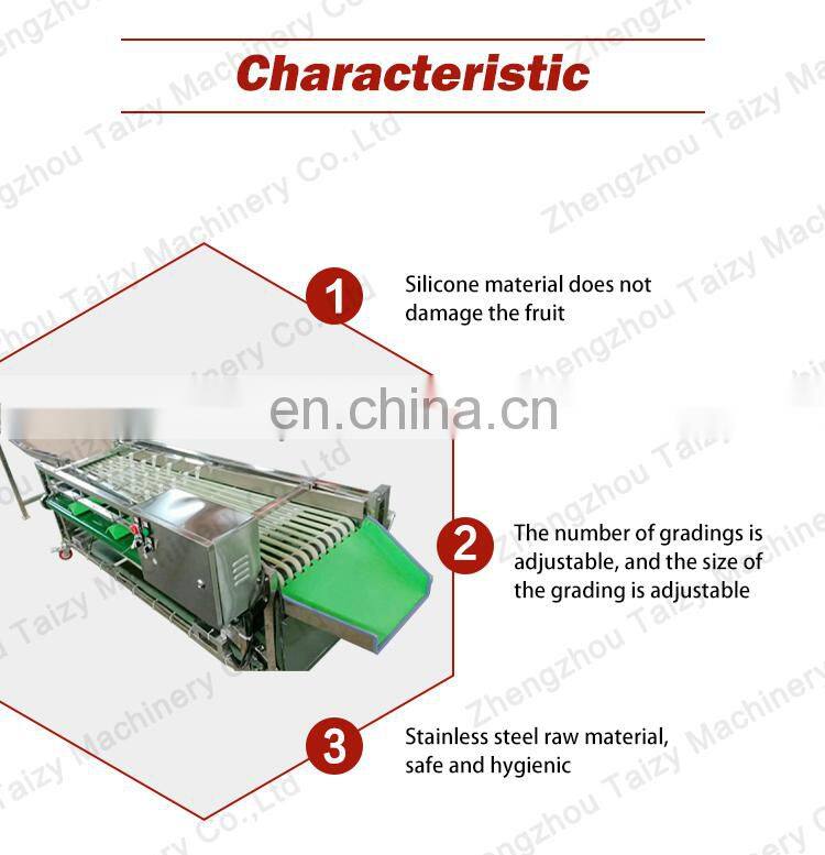 Lemon Grading Machine Ajwa Dates Sorter Almond Sorting Machine