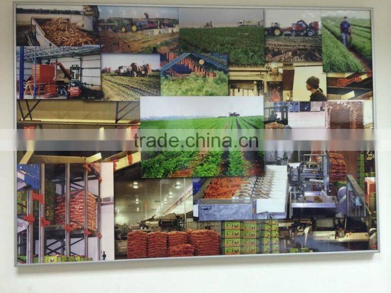 cheap black pp woven bag roll