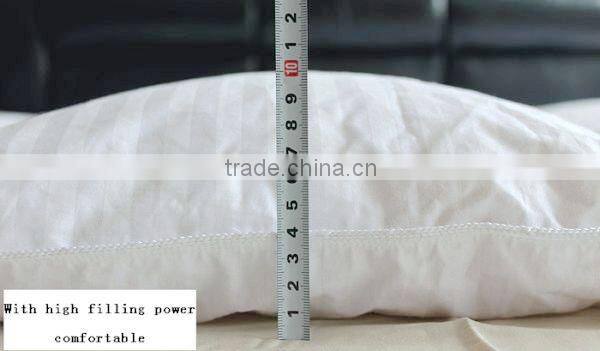 Luxury Germany Piping Edge White Goose Down Quilt