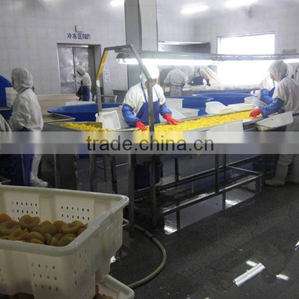 Frozen Yellow Peach In Slice