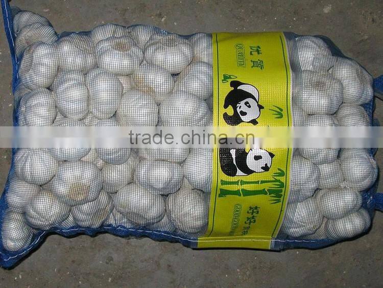 China Red Garlic Price Store Garlic