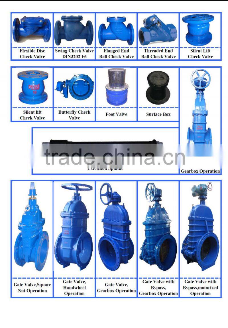 DIN3202 F1 Ductile iron flanged Y type Strainer DN600 PN16