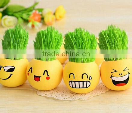 Grass head toy.grass doll toy.mini plant toy