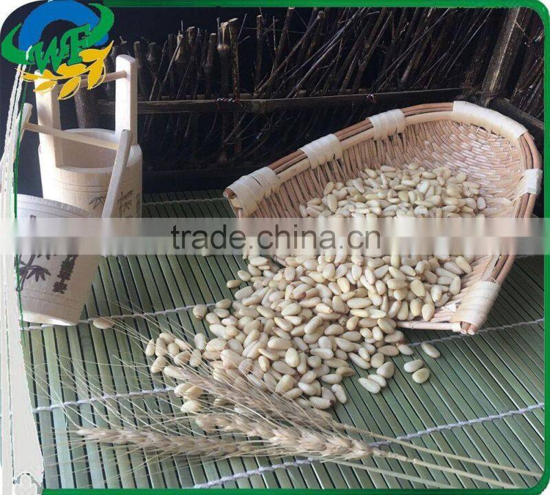 New crop Chinese Pinenut Kernels