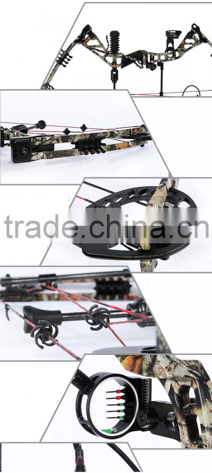 China Archery 310fps Compound Bow for Sale