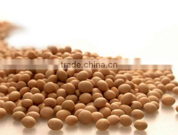 Soybean Isoflavones with competitive price and high quality