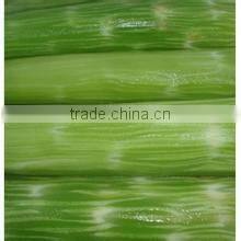 vegetable and fruit washing machine/home vegetable washing machine/vegetable washing machine