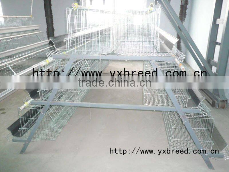 battery broiler cage system of patent product