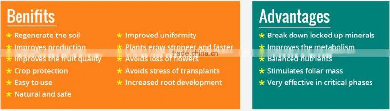 Reputed Dealer Supplying Soluble Microelements for Agriculture Use