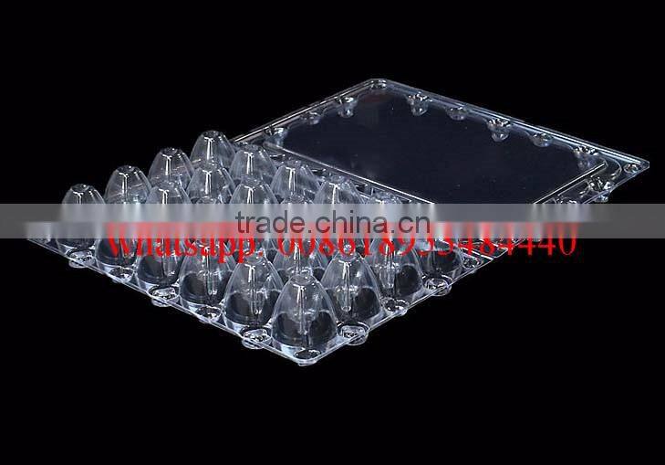 24 Holes rectangular clear transparent plastic quail egg cartons, plastic quail packing tray 24eggs