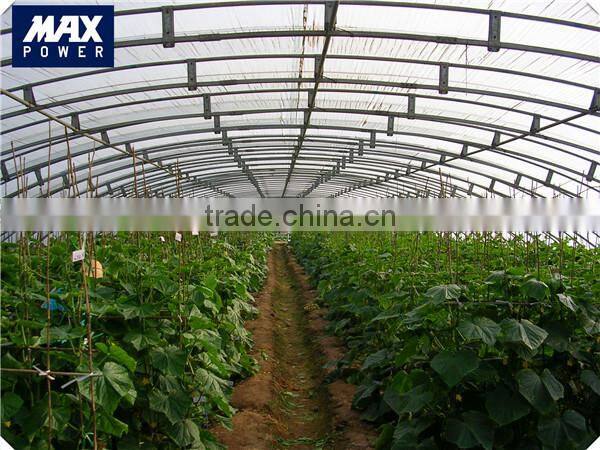 greenhouse the cheapest wiggle wire