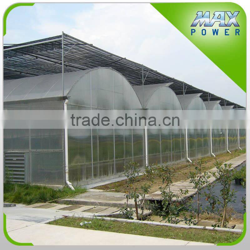 High Quality Commercial Multi-Span Vegetable Mushroom Greenhouse