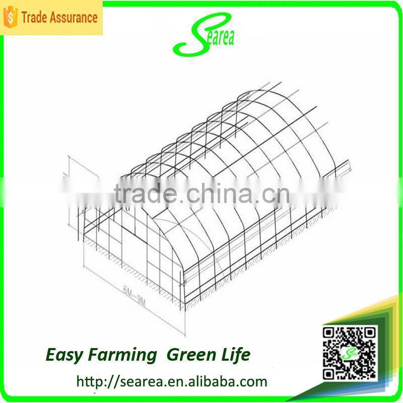 searea Hot sale commerical farming single-span plastic greenhouse