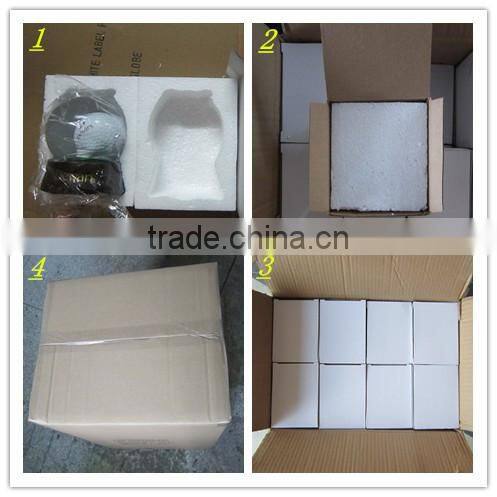 Resin Couple Snow Globe