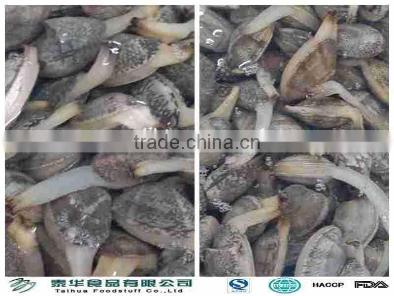 VACCUM PACKED AND BOILED BABY CLAM