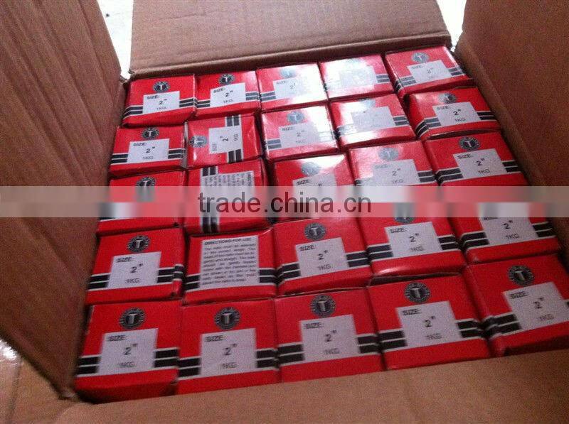 Plain and twist shank concrete nails(factory)