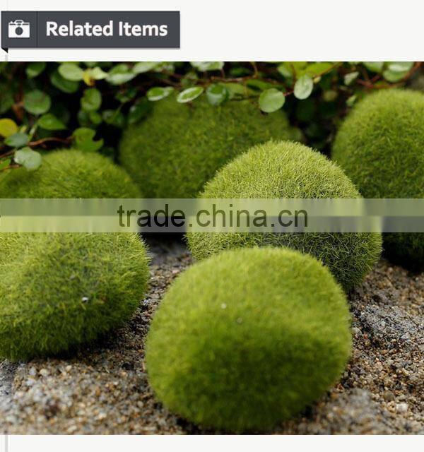 Gardening christmas gift for wall rock decoration moss stone