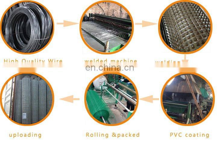 PVC powder coated 10 gauge galvanized welded wire mesh for chicken cage