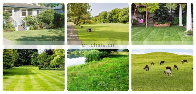Upgraded Version Remote Control Lawn Mower Cordless Lawn Mower Mini Robot Lawn Mower Parts Prices
