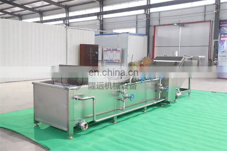 Automatic Vegetable Fruit Processing line fruit vegetable blanching machine