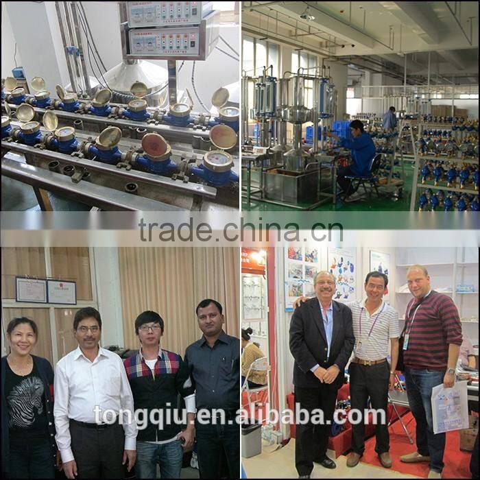 2 inch High quality Woltman removable Water flow Meter