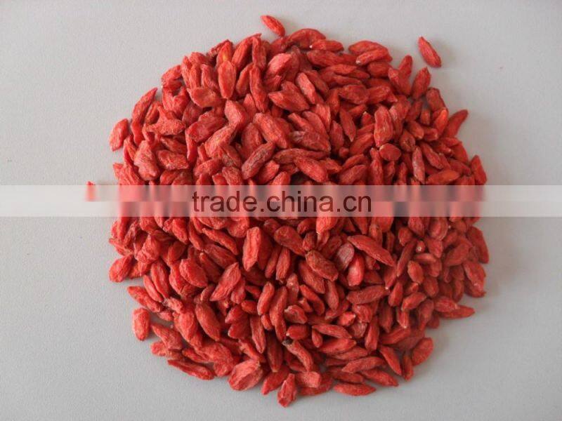 Chinese Ningxia goji berry