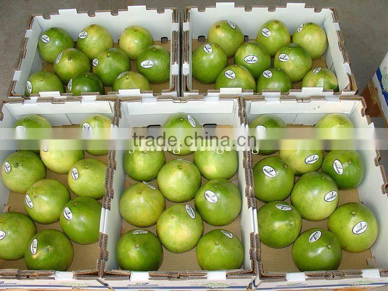 2015 new crop of the pomelo
