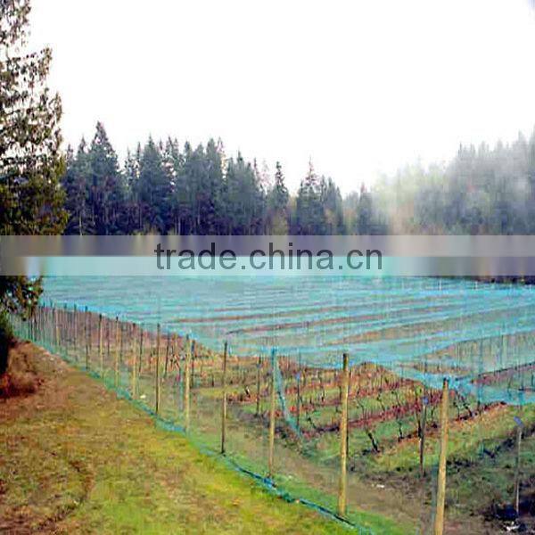 Farm bird preventing net