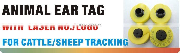 rfid tags for chicken