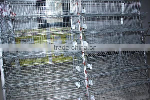 hot selling and good quality wire mesh quail cage