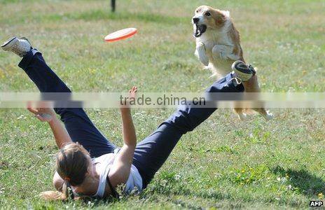 2015 zhejiang ningbo new windmill design led plastic 9 inch 23cm frisbee with hole